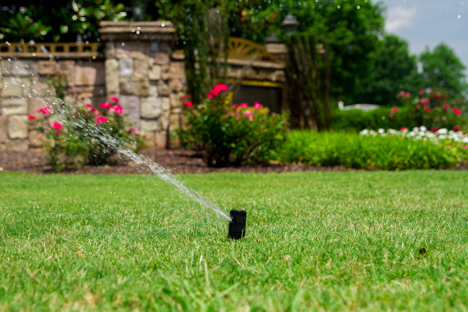 Irrigation sprinkler operating beside landscape beds